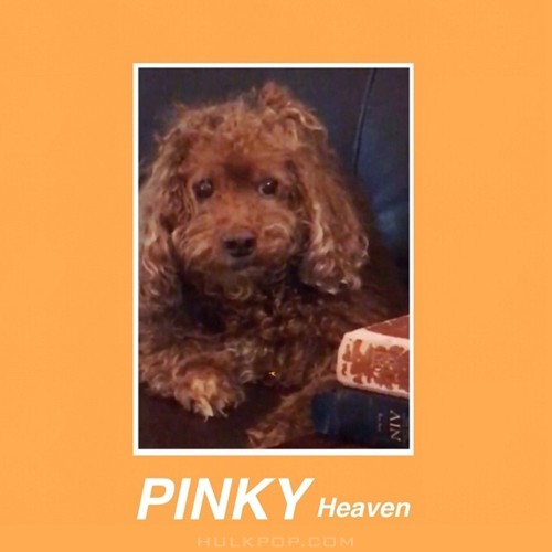 Pinky – Heaven – Single
