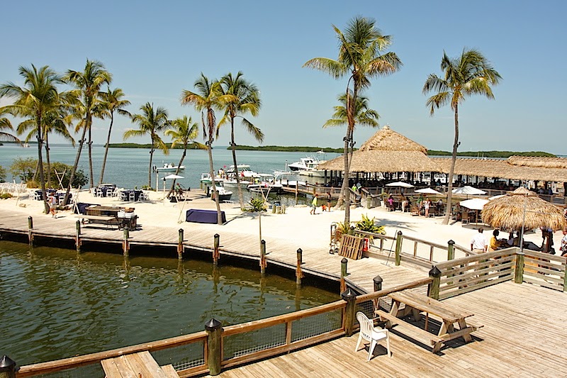 Josh and Joe Travels Key West and the Florida Keys Islamorada Fish