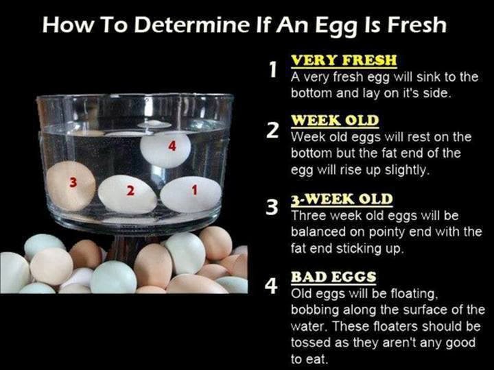 Crazeeeat How To Test Eggs For Freshness