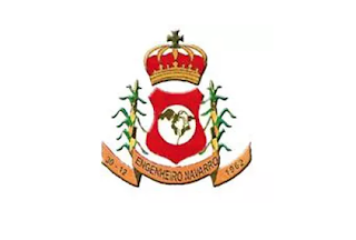 Bandeira de Engenheiro Navarro MG