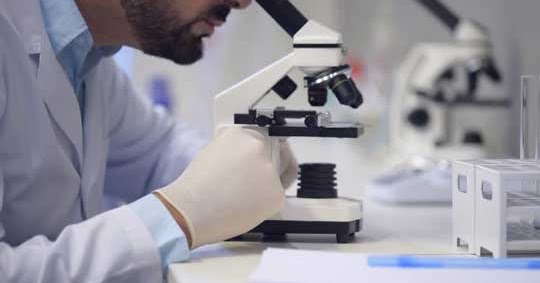 9 Macam Sikap Ilmiah Dalam Penelitian Biologi yang Perlu