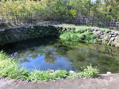 �E�씪�C�E���q�r