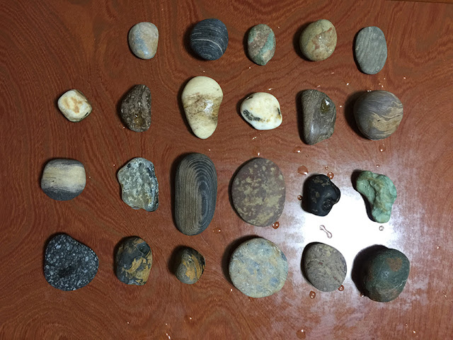 日本初の ❍海岸の石ころ達（136）❍七里長浜採取 カワイイ石 キレイな石 色々 その他
