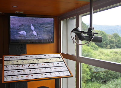 Reserva de la biosfera de Urdaibai Reserva de la biosfera de Urdaibai