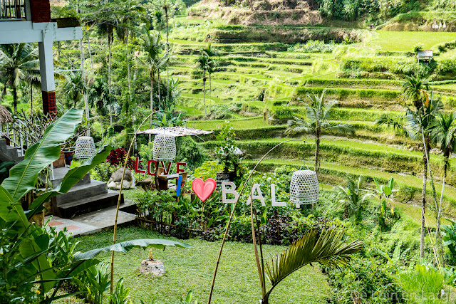 Ceking - Tegallalang - Ubud - Bali