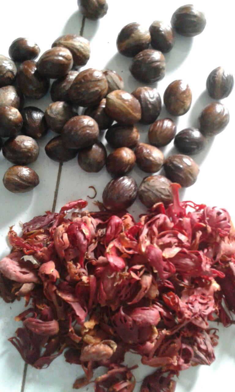 DISTILLING the NUTMEG SEED part1