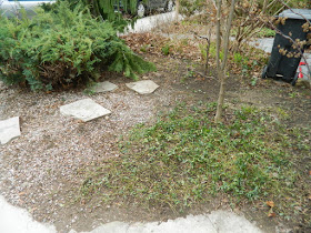 Parkdale front garden spring cleanup after by Paul Jung Gardening Services Toronto
