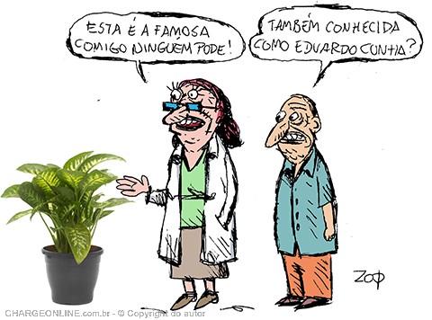 AUTO_zop.jpg (480×356)