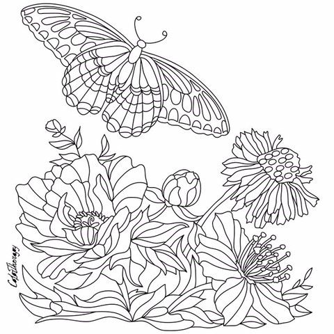 Tranh tô màu con bướm và hoa lá bên dướii