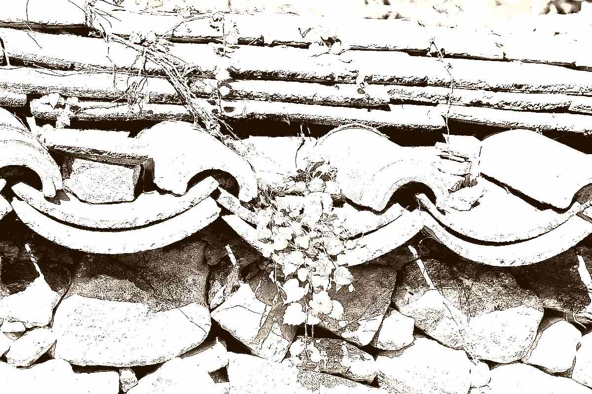 순천 조계산 선암사 순천 조계산 선암사