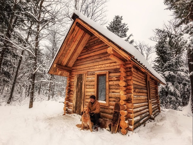 Building Your Own Log Cabin Calvert Kielder Blog