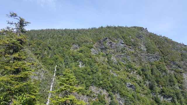 Chute près du sentier vers le sommet du Nicol-Albert