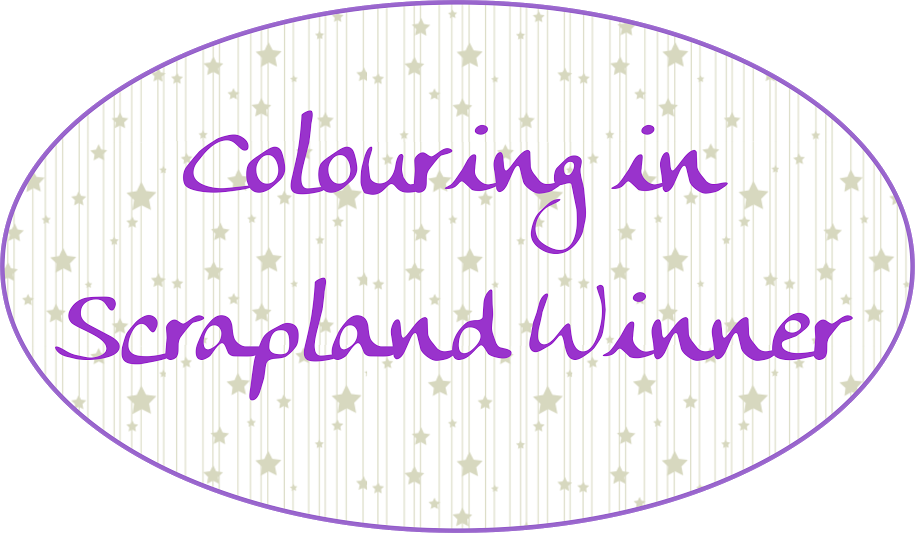 Colouring in Scrapland Winner