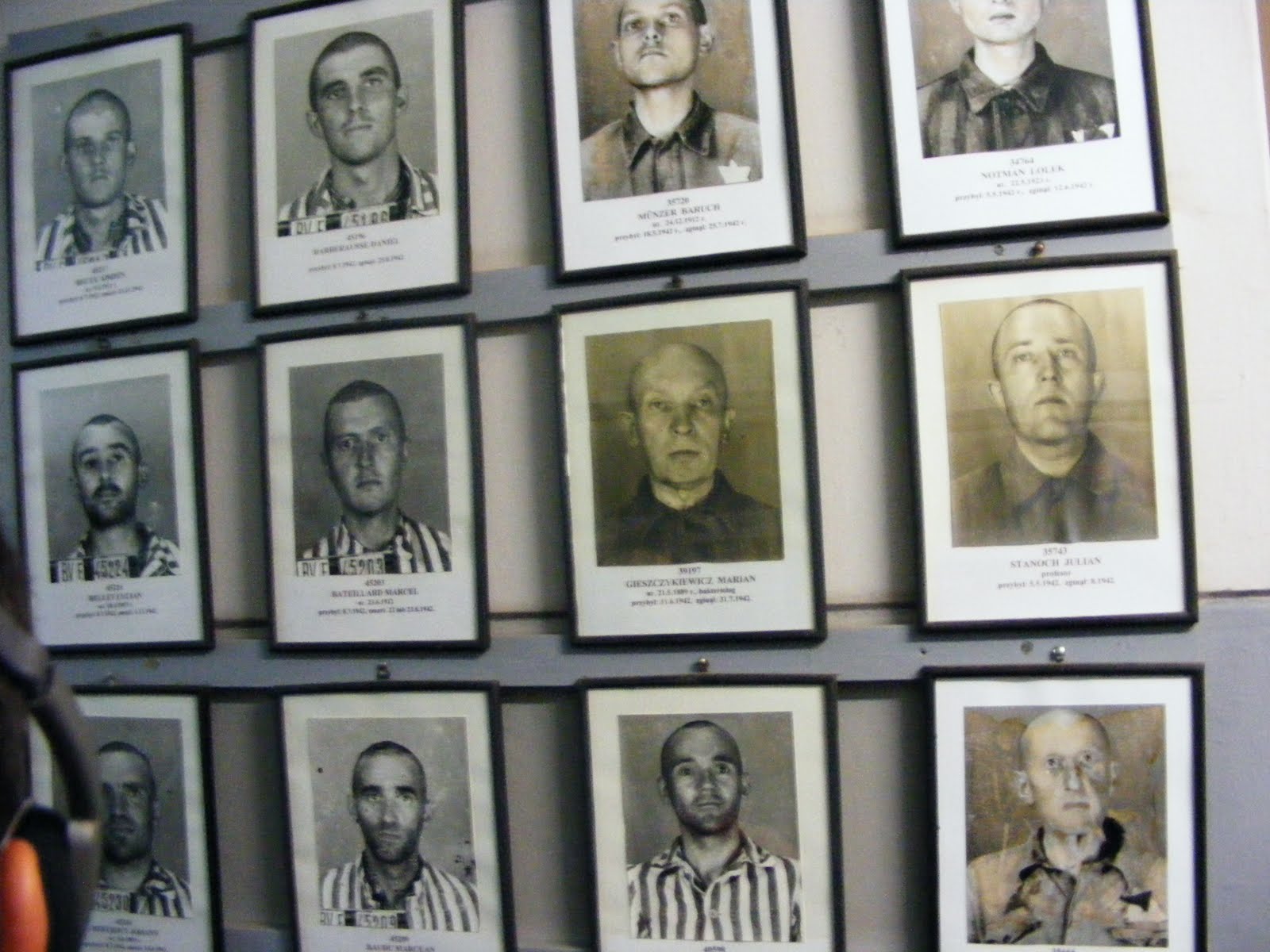Wild-Voice: Holocaust [ Poze ] [ Part.4 ]