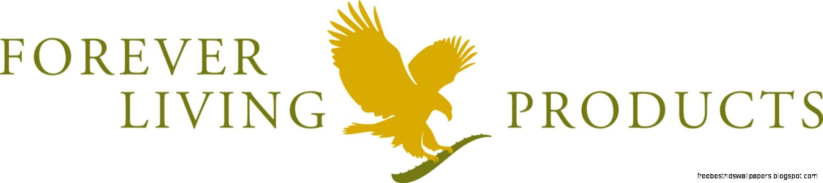 Review Forever CS Pure Living Aloe Vera Products  Lilinha