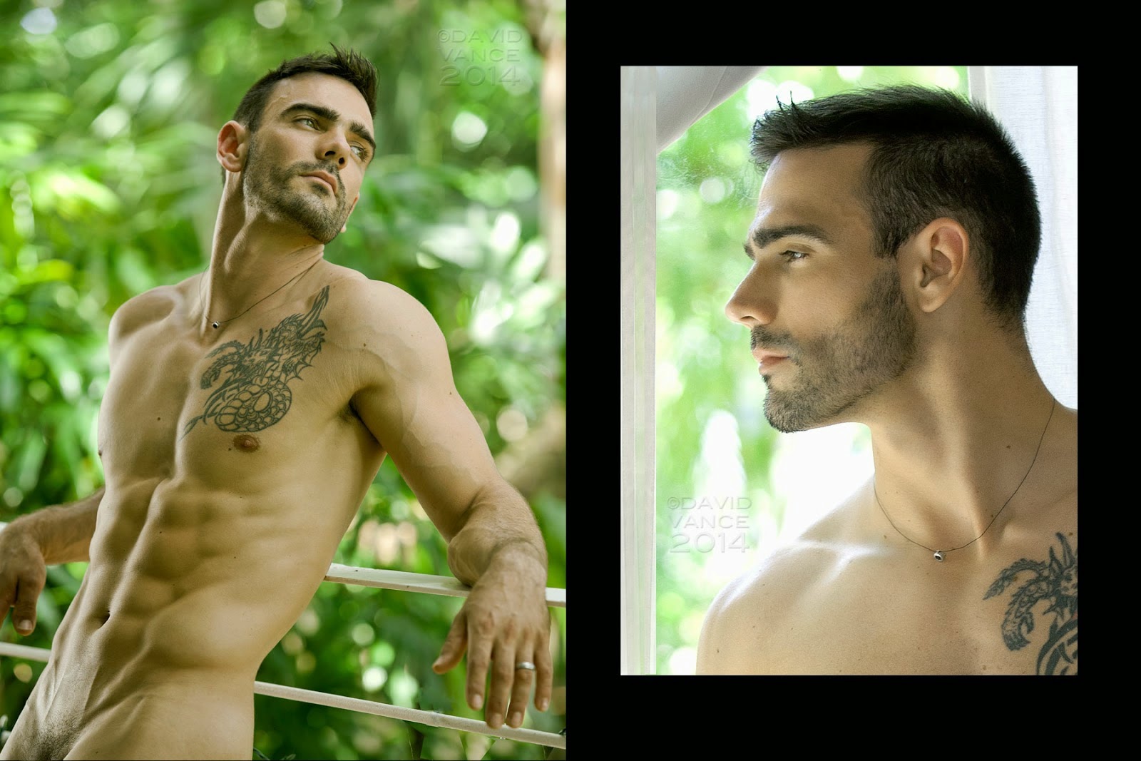 Jess vill модель