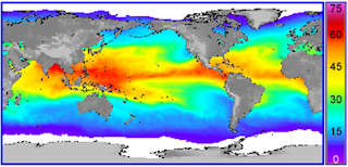 Tropical oceanic-atmospheric phenomenon