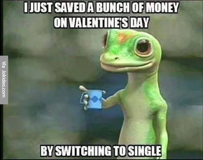Stupid Jokes Photos Stupid Jokes Photos