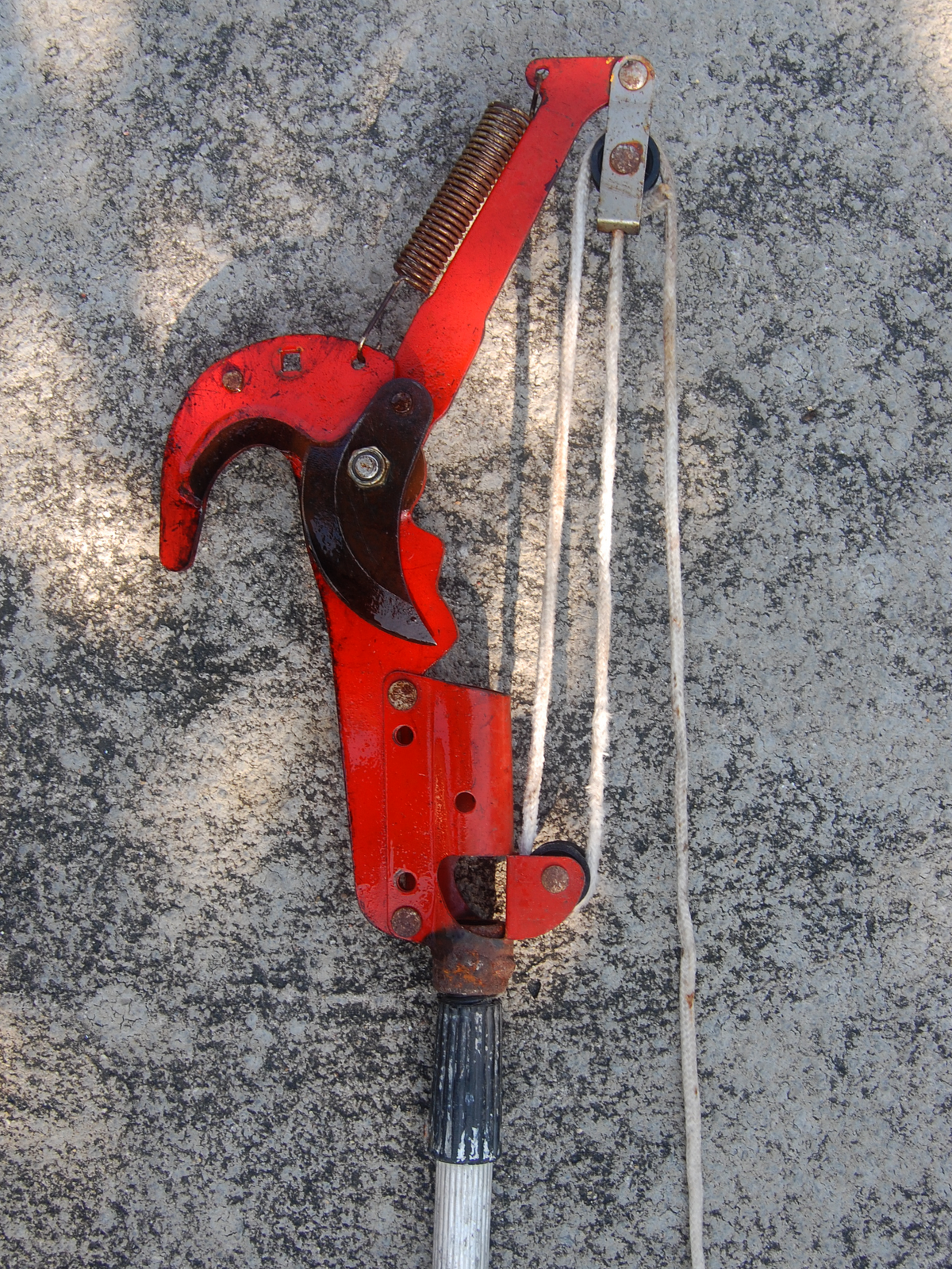 Durian Info Pruning Tools and How To Prune