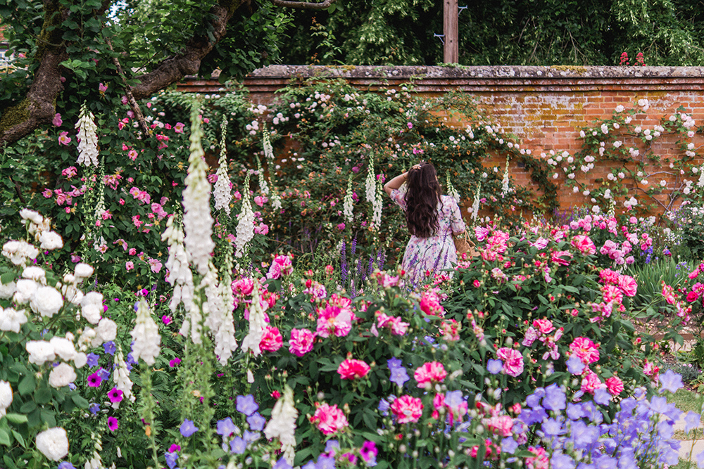 Button-down-dress-ootd-straw-bag-mottisfont-rose-garden