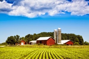 Sectores Rurales DESAROLLO SUSTENTABLE: 5.4.2 Áreas Rurales