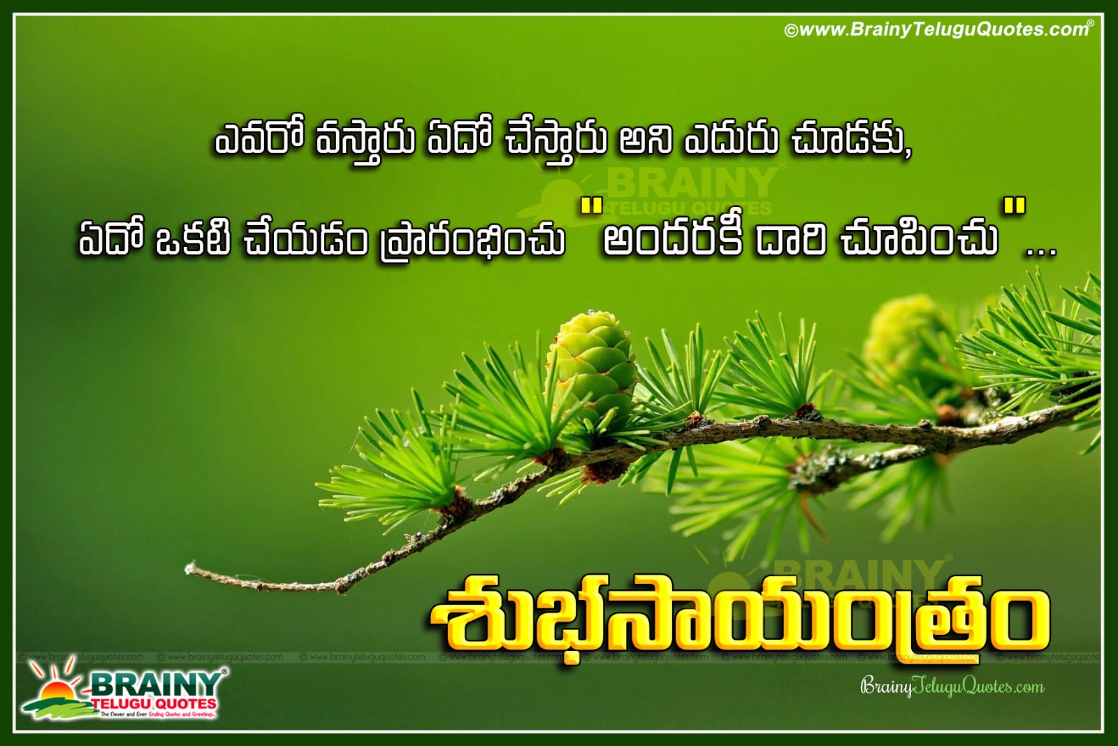 Good Evening Telugu Wallpapers Quotes Messages Sms Pictures Brainyteluguquotes Comtelugu Quotes English Quotes Hindi Quotes Tamil Quotes Greetings
