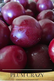 plum crazy, sharing recipes we loved using the fruit off our backyard plum tree