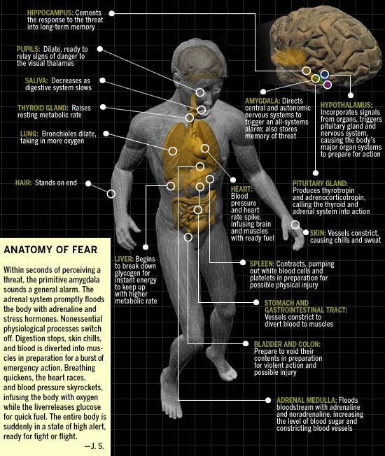 Resultado de imagen para survival response image