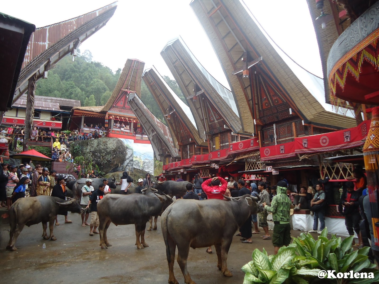 Rambu Solo Tradisi Pemakaman Unik Di Tana Toraja Halaman All Kompas Com