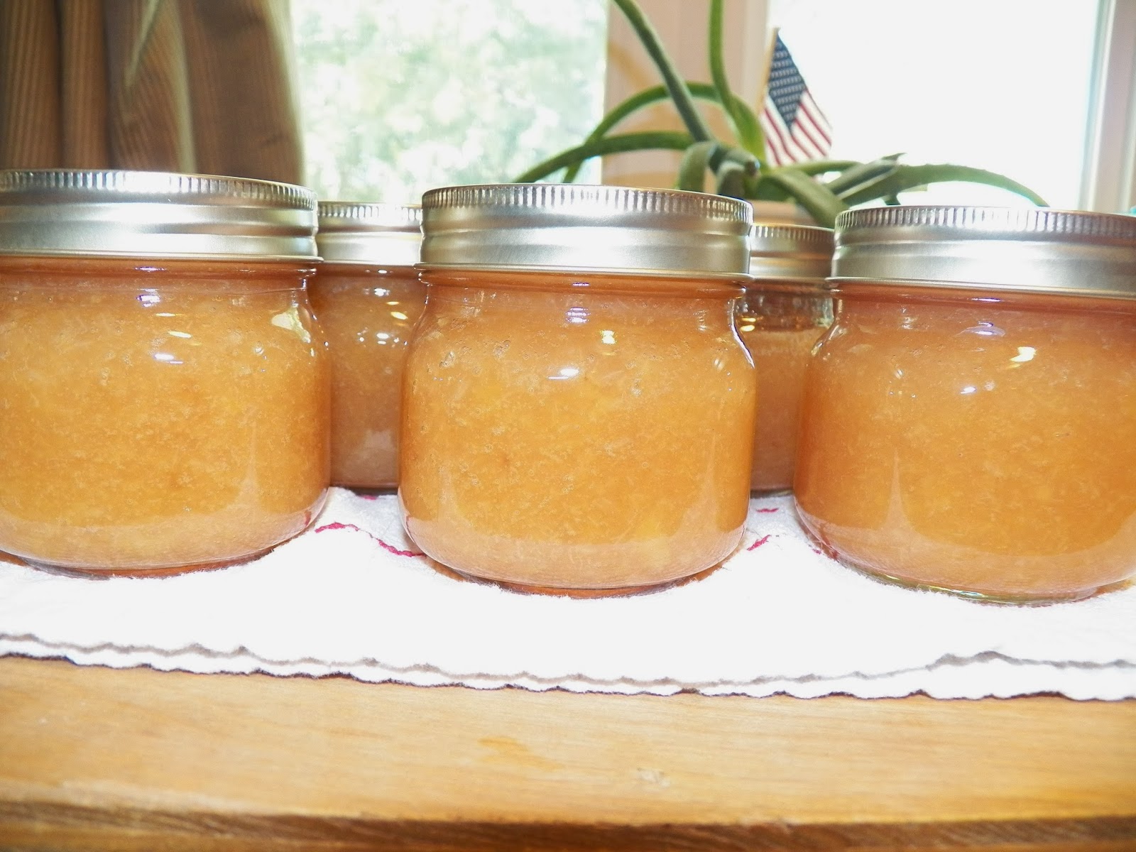 Heather's Green Home Goods Canning 101 Plum Jam