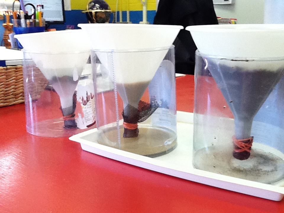 Lights, Camera, Learn Soil Experiment