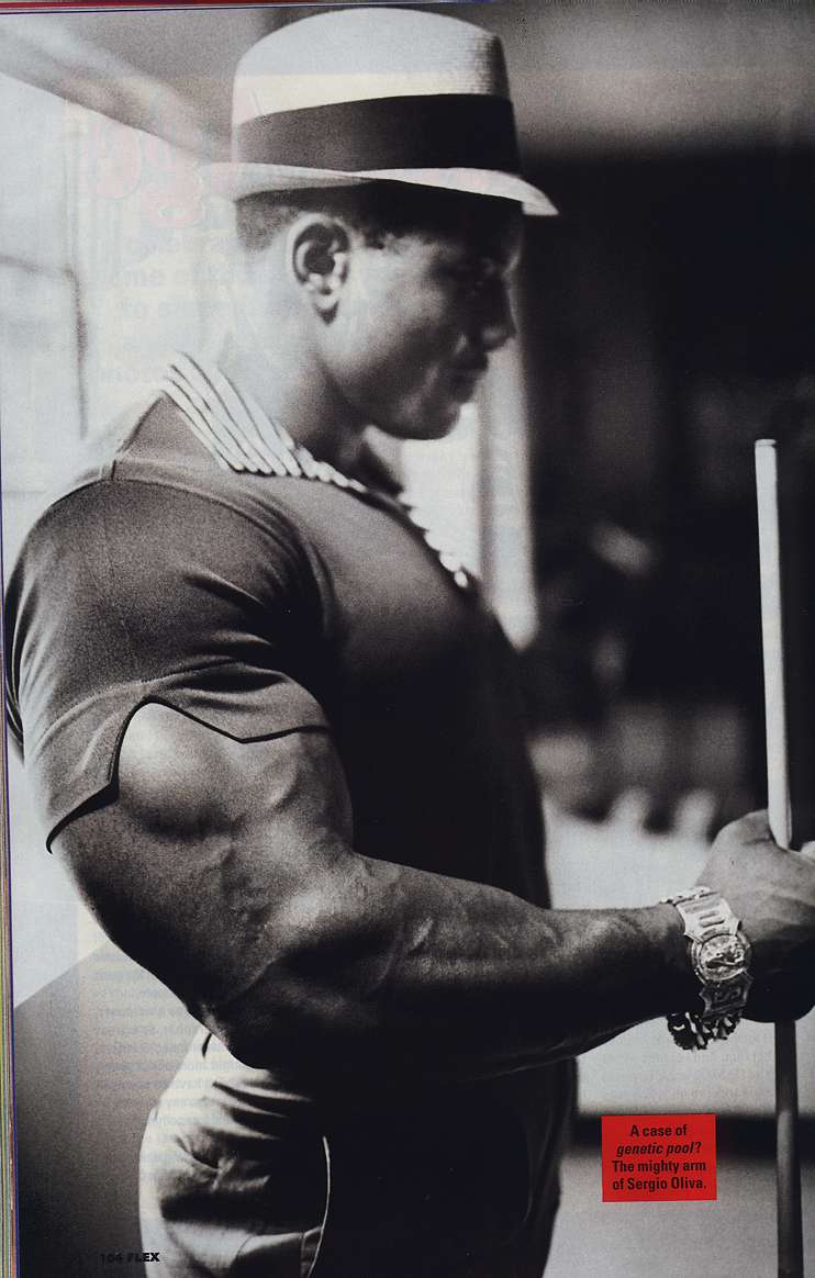 Body Builders Sergio Oliva Bodybuilder Pictures And Bio