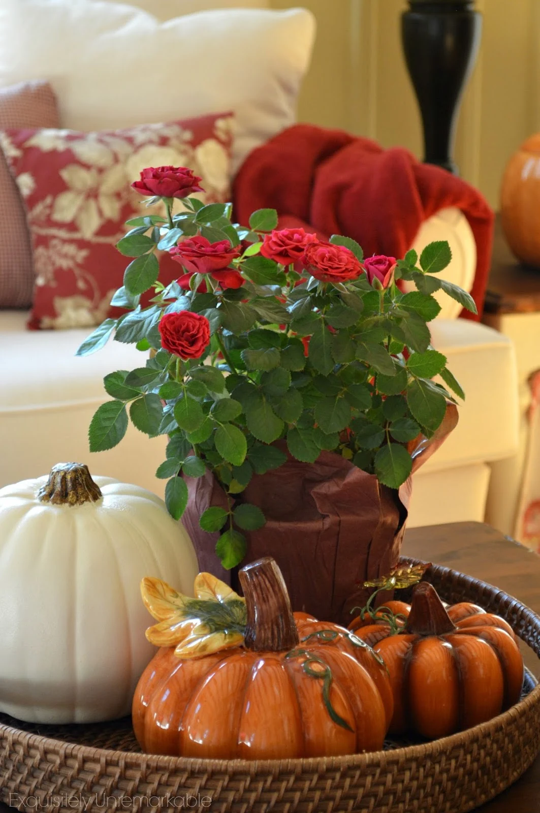 Fall Roses and Pumpin Arrangement