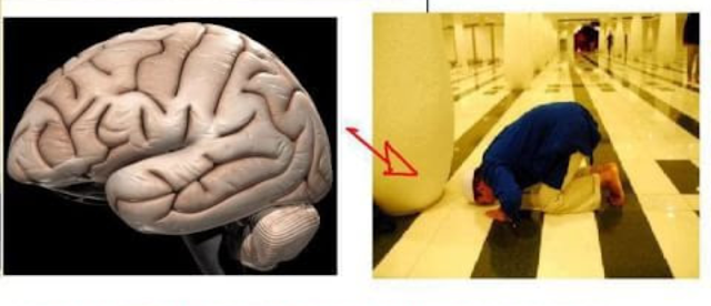 Fakta Terbaru Ternyata Sujud Memiliki Banyak Manfaat Untuk Otak, Inilah Manfaatnya Fakta Terbaru Ternyata Sujud Memiliki Banyak Manfaat Untuk Otak, Inilah Manfaatnya