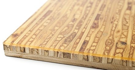 Sistemas Constructivos I: Paneles de sorgo y trigo