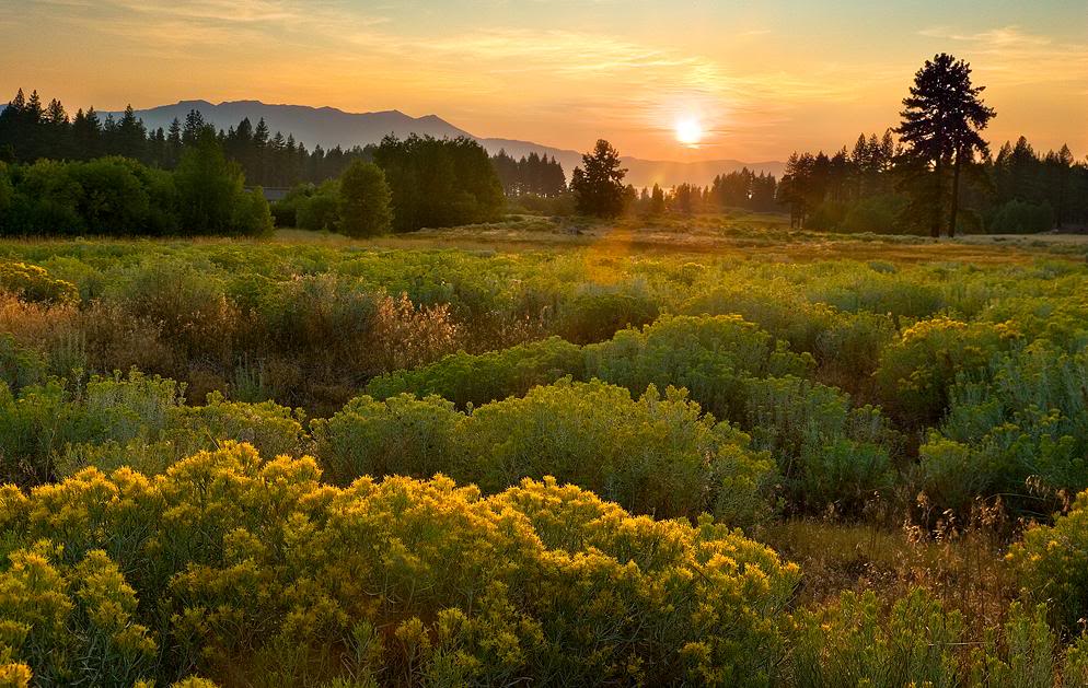 Computer Wallpaper | Free Wallpaper Downloads