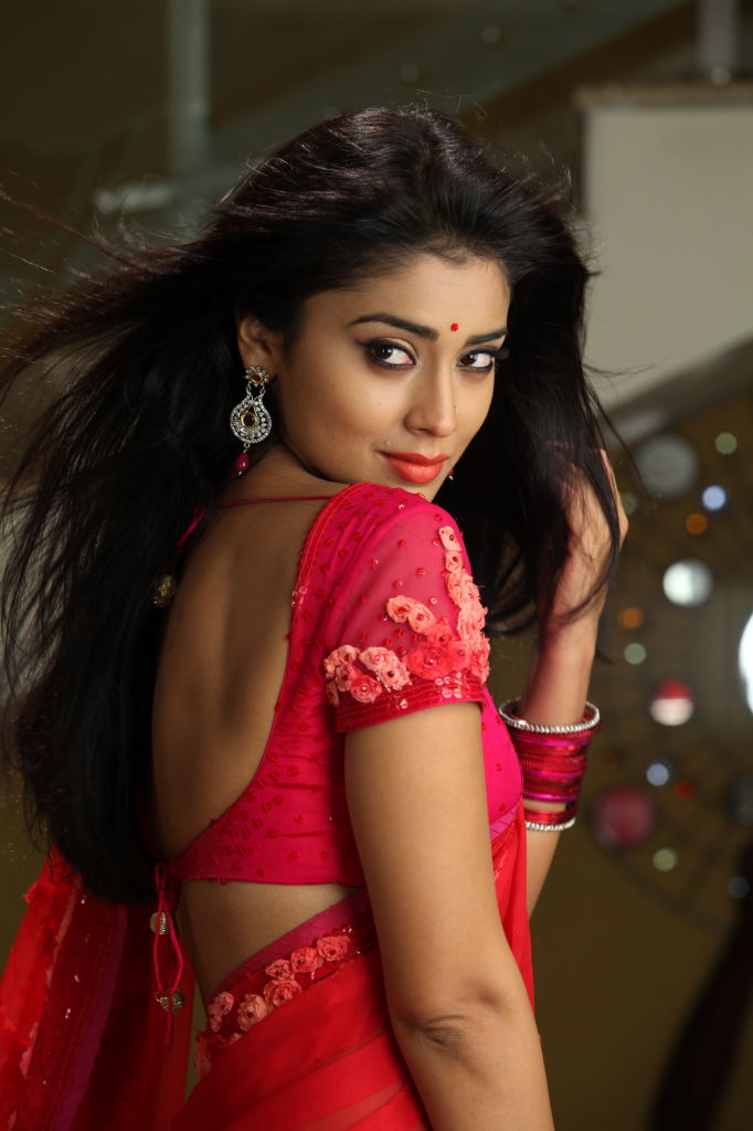 High Quality Actress Shreya In Pavithra Sexy Hot Stills