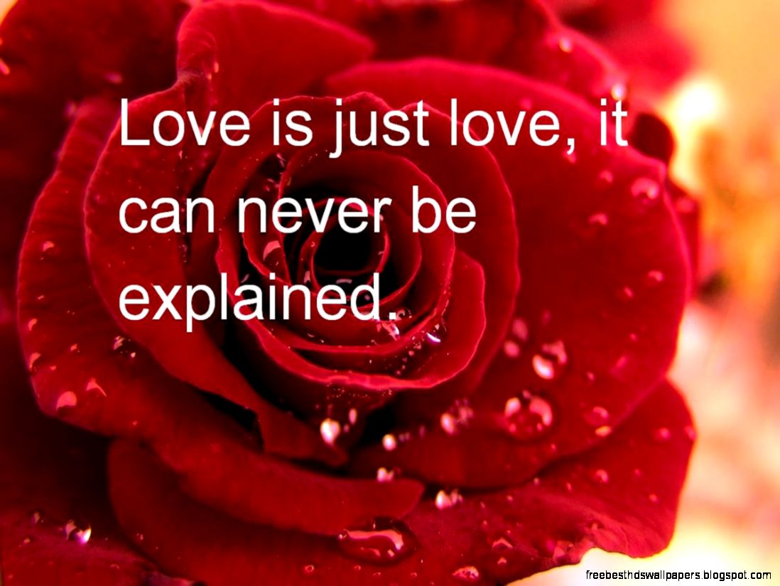 Happy Valentine Days Quotes   99 Quote