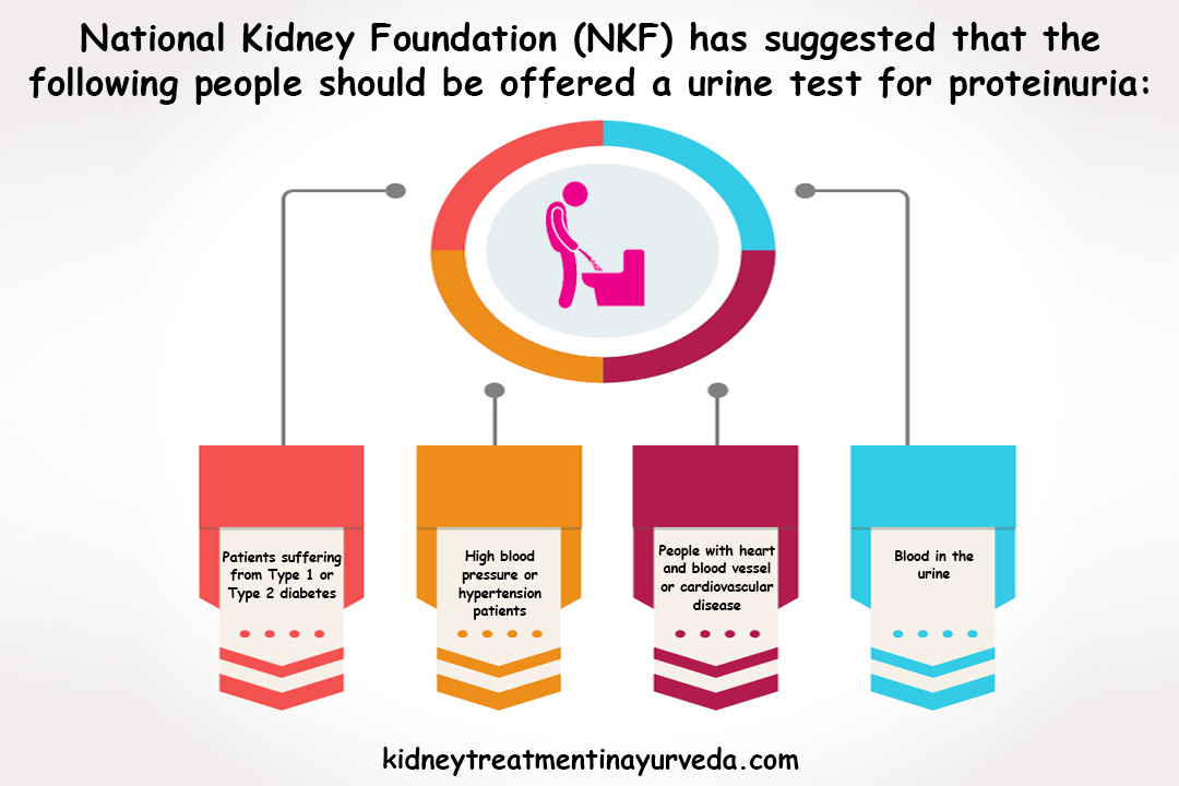 Is Ayurvedic Treatment for Proteinuria Works? Ayurvedic Kidney