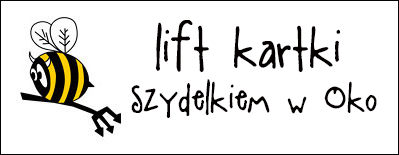 http://diabelskimlyn.blogspot.ie/2015/01/lift-kartki-szydekiem-w-oko.html