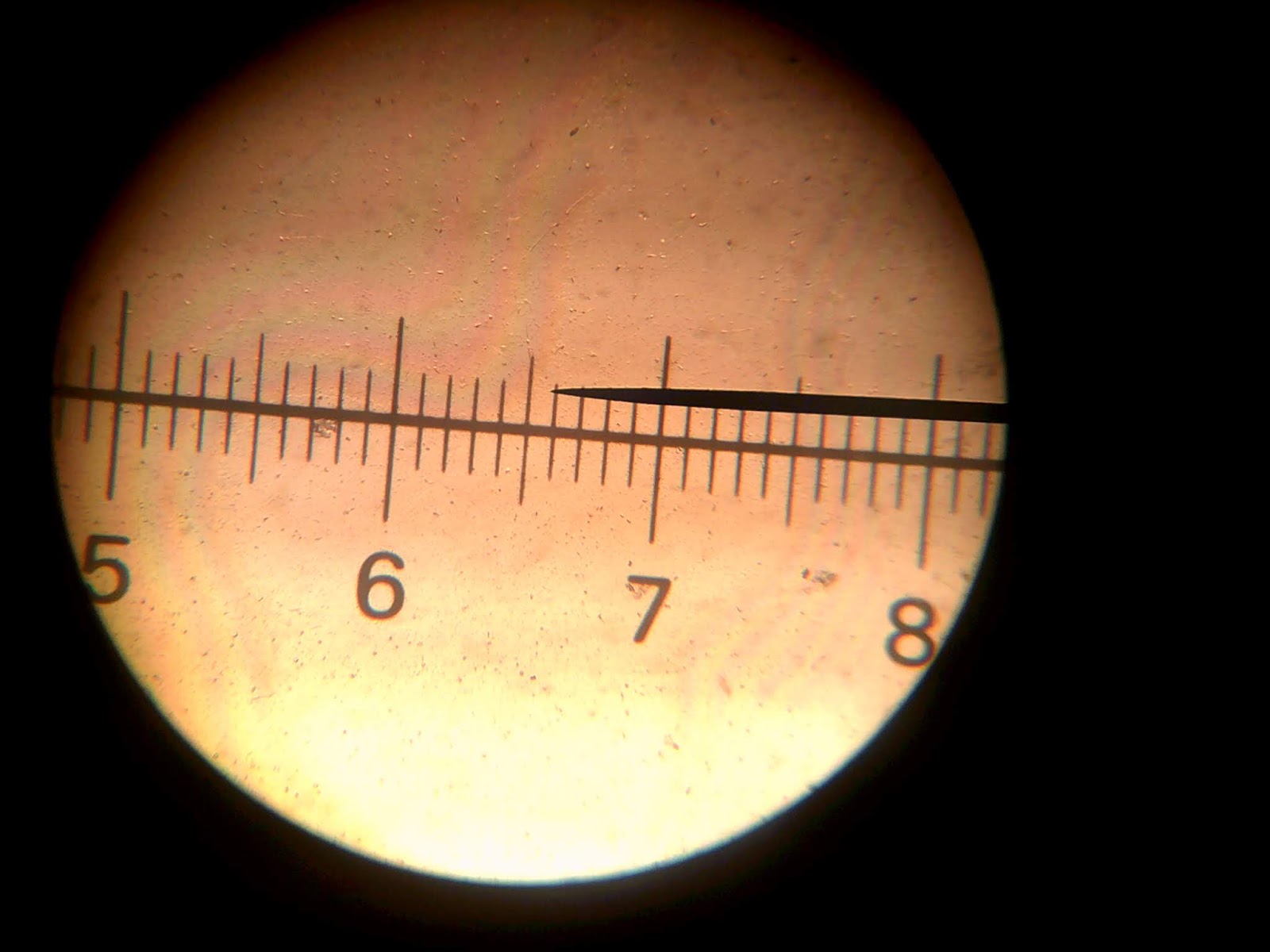 wigton physics Microscope graticules and woolly fringemoss