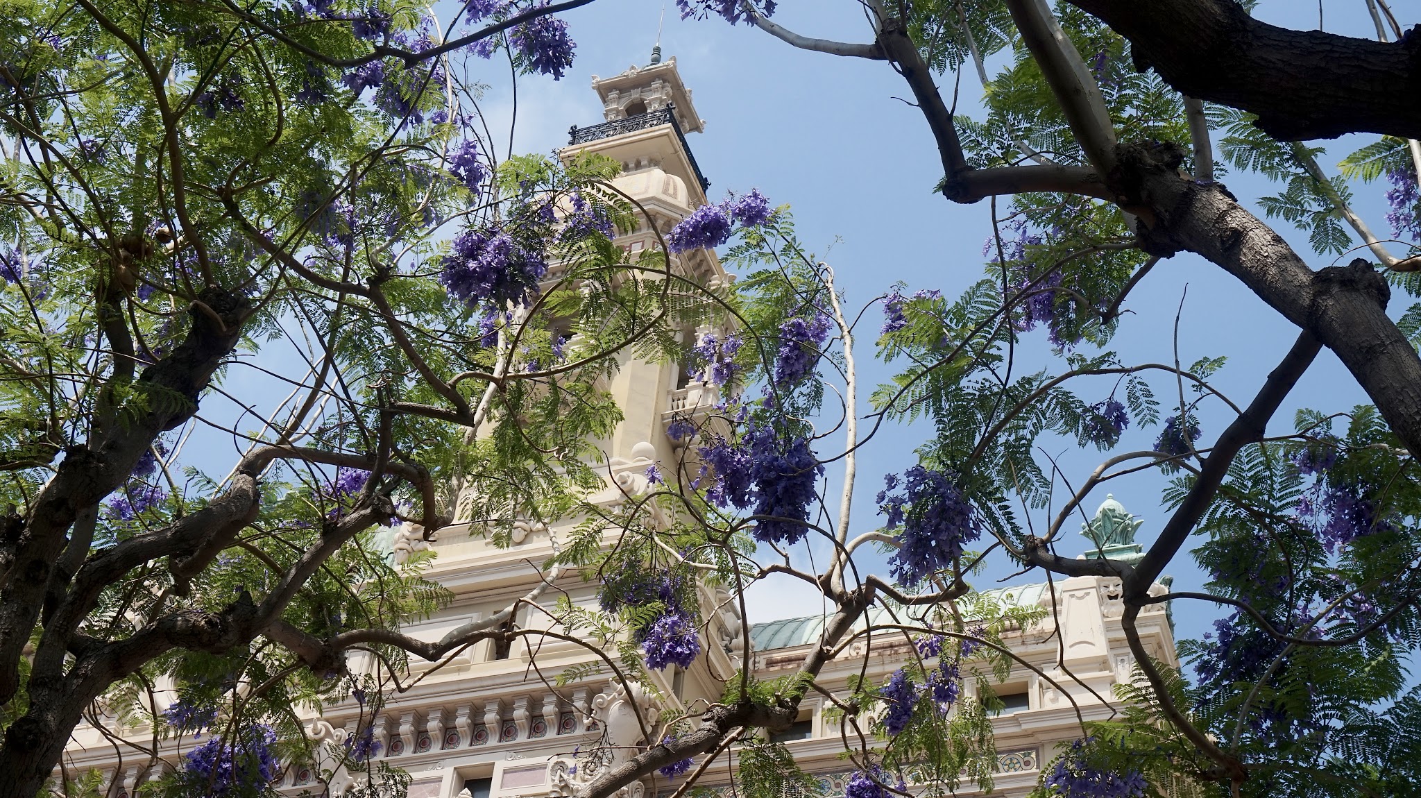 Ornate casino building through trees with purple flowers