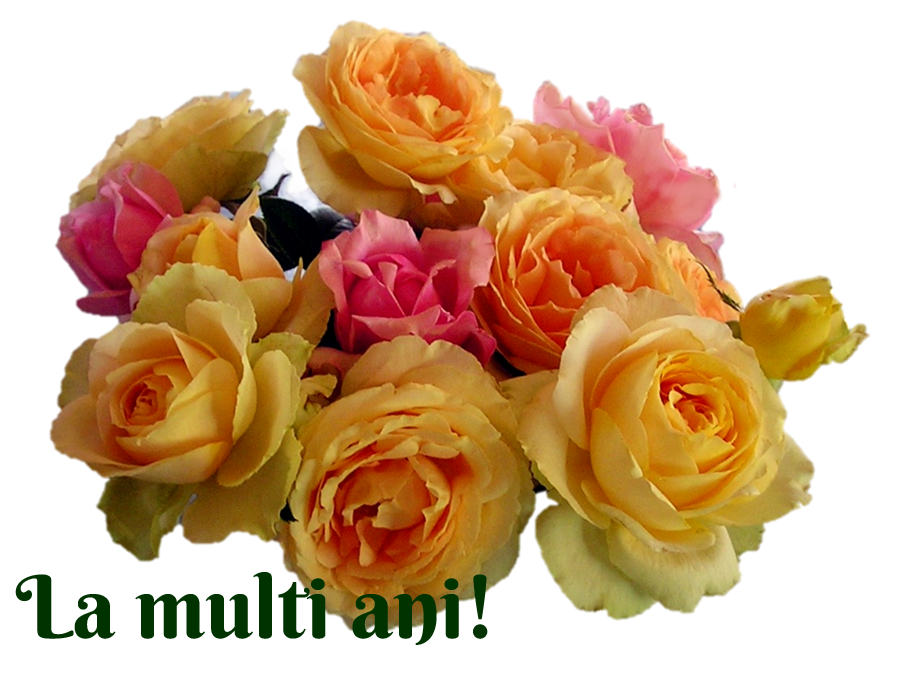 Felicitari, Mesaje si Urari: Buchete de flori - LA MULTI ANI!