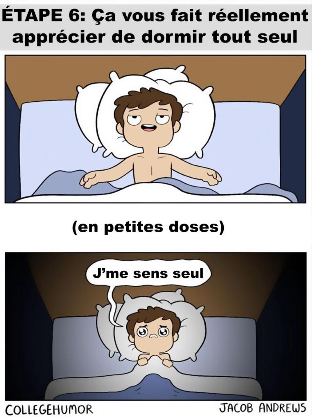 Buzzfil Blog 6 Illustrations hilarantes des