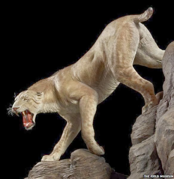 A vida de mamutes e mastodontes