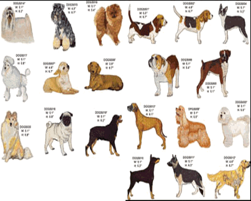 My Top Collection Dog breeds 5