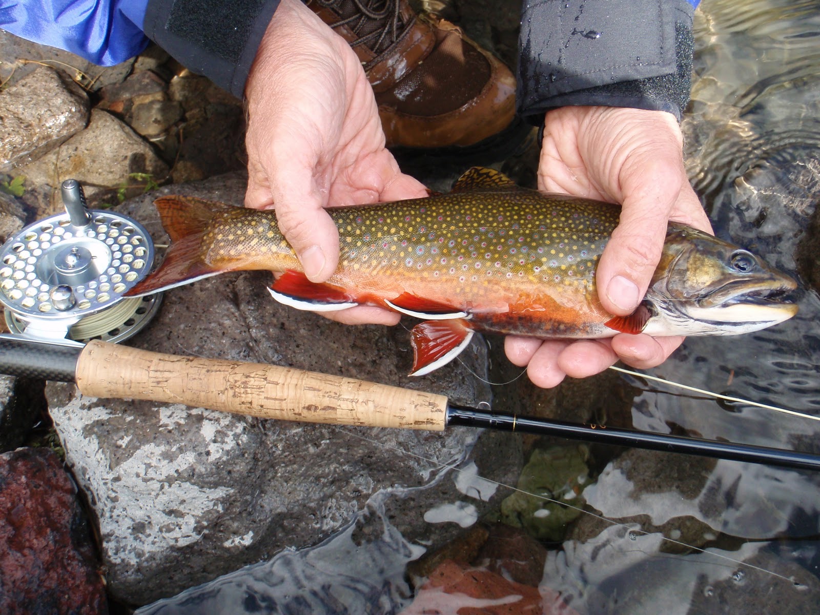 Southern Utah Fly Fishing ,Quiet Fly Fisher Guide Service & Fly Shop Southern Utah Fly Fishing