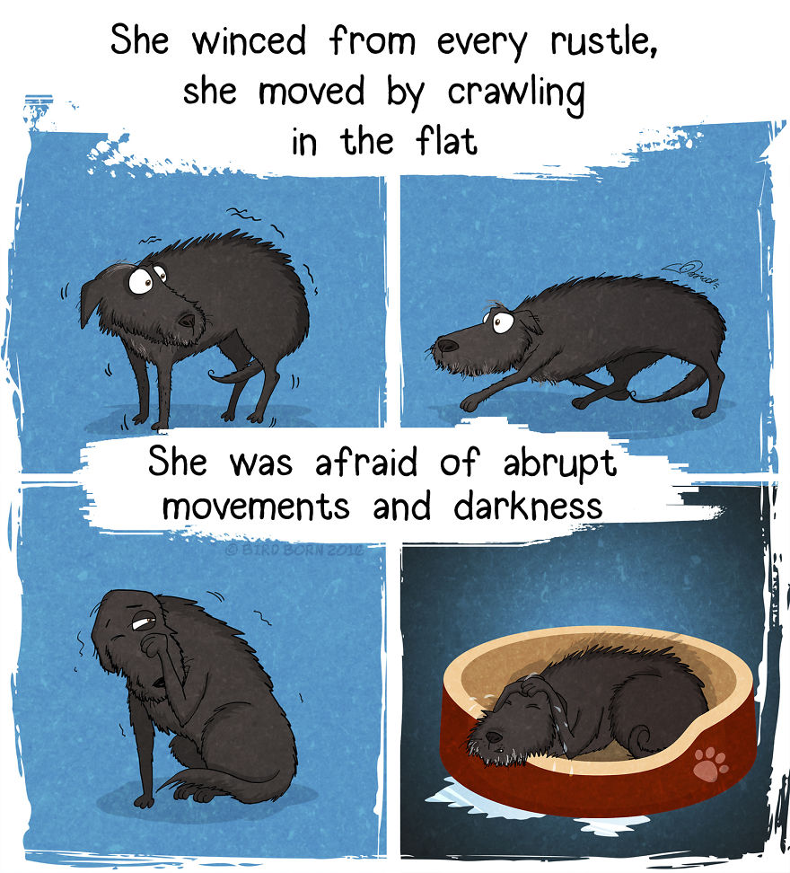 English for You, Rosa´s Blog Pets A Story