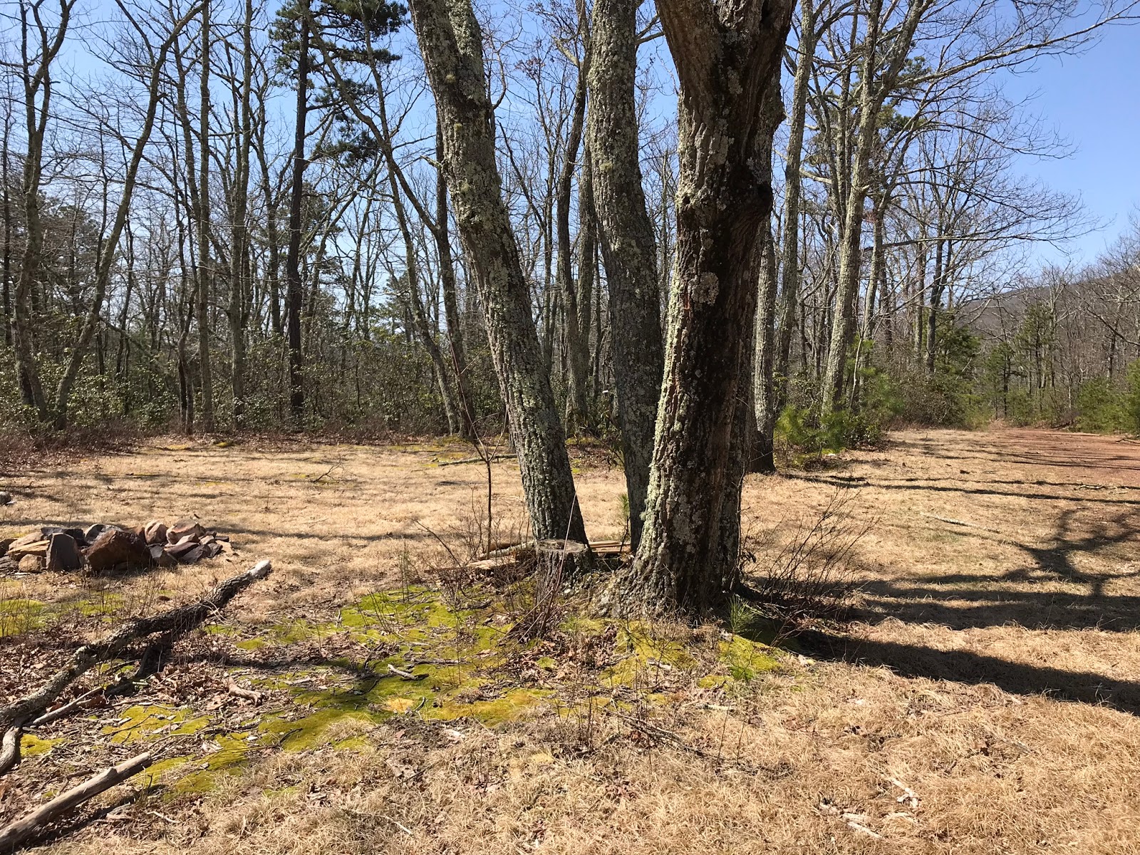 Wandering Virginia Piney Mtn Trail, Warm Springs District, GWNF