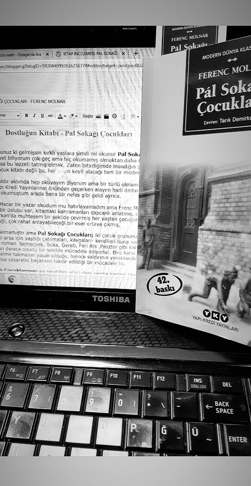 Istanbul Icinde Ikinci El Satilik Pal Sokagi Cocuklari Fe